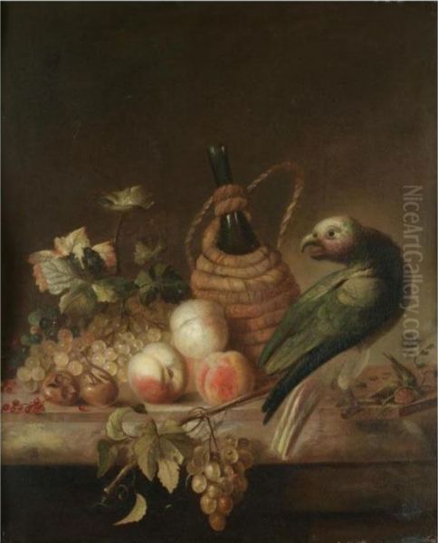 A Still Life With A Parrot, 
Together With A Flagon Of Wine, A Bunch Of Grapes, Peaches And 
Redcurrants On A Marble Ledge Oil Painting by Barend or Bernardus van der Meer