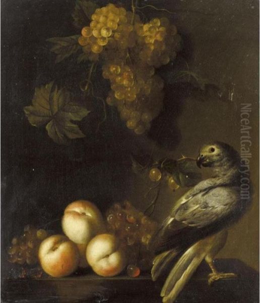 A Still Life Of Grapes And Peaches With An African-grey Parrot Oil Painting by Barend or Bernardus van der Meer