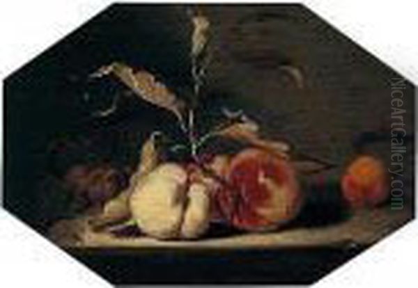 A Still Life Of Peaches, Plums And One Apricot Arranged Upon A Stone Ledge Oil Painting by Jacob Fransz. Van Der Merck