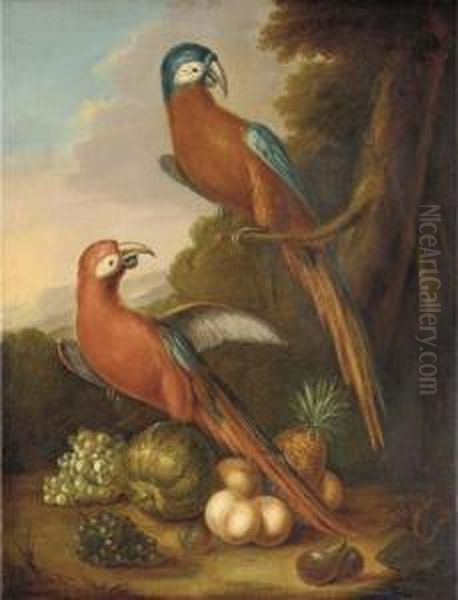 Two Parrots, Grapes, Peaches, Figs, A Melon And A Pineapple In A Wooded Landscape Oil Painting by Heroman Van Der Mijn