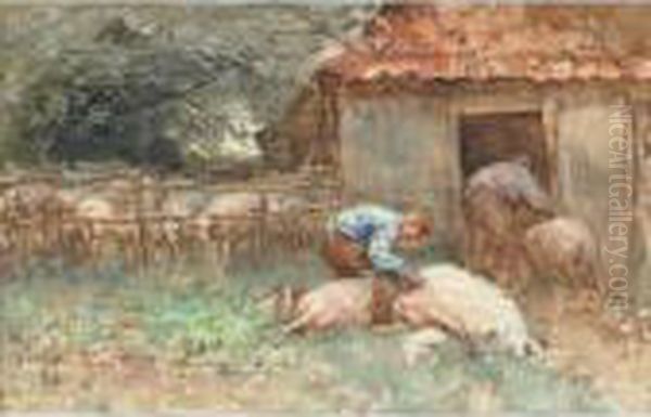 Shearing Sheep On The Farm Oil Painting by Willem Van Der Nat