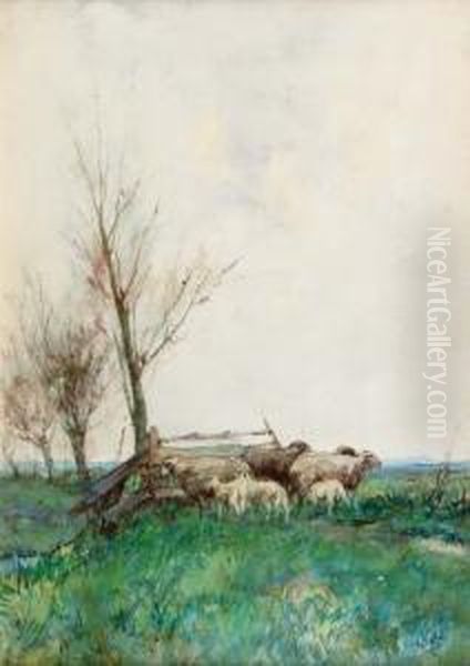 Sheep By A Fence Oil Painting by Willem Van Der Nat