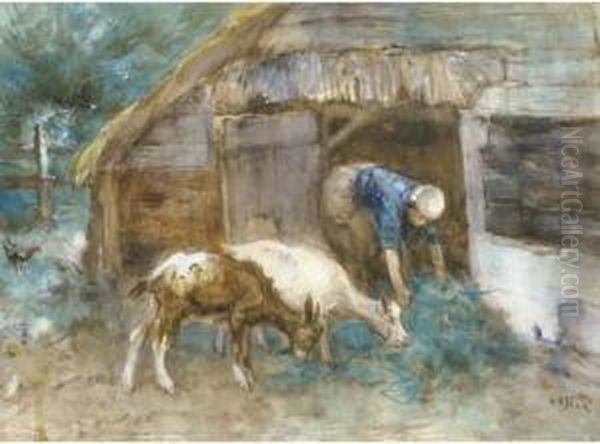 Feeding The Goats Oil Painting by Willem Van Der Nat