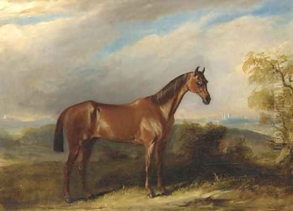 A bay hunter in an extensive landscape Oil Painting by John Jnr. Ferneley