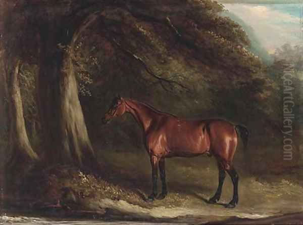 Old Dick, a bay in a wooded landscape Oil Painting by John Jnr. Ferneley