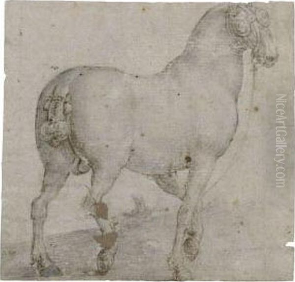 Portrait Of The Horse, Corsus Oil Painting by Jan van der Straet