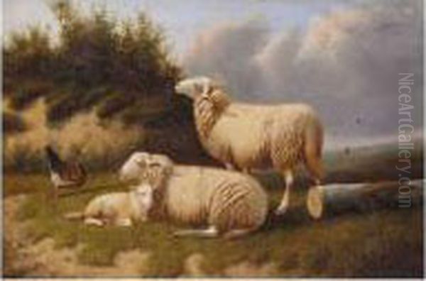 Sheep Resting Oil Painting by Joseph Van Dieghem