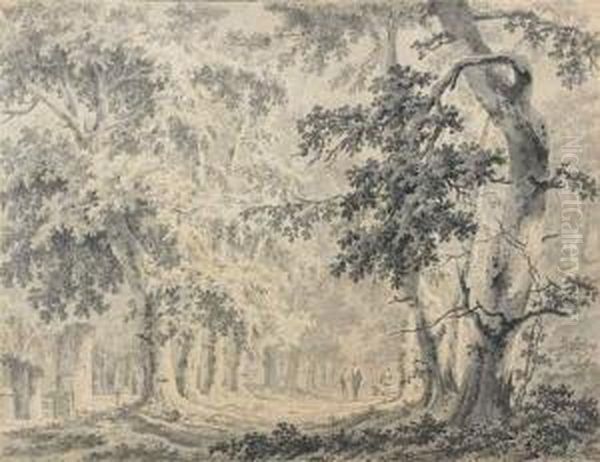 Paysage De Foret Aux Grands Arbres Oil Painting by Egbert Van Drielst