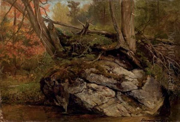 Etude D'un Sous-bois Oil Painting by Hendrik D. Kruseman Van Elten