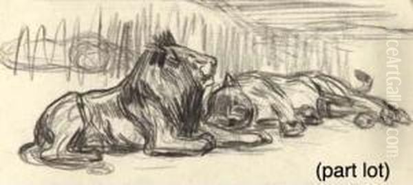 A Collection Of 26 Drawings Depicting Studies Of Wild And Tameanimals Oil Painting by Jan van Hemessen