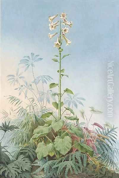 A Giant Lily (Cardocrinum giganteum) Oil Painting by Carl W.E. Fink