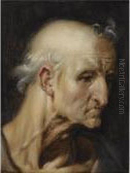 Study Of The Head Of An Old Man by Cornelis Cornelisz Van Haarlem