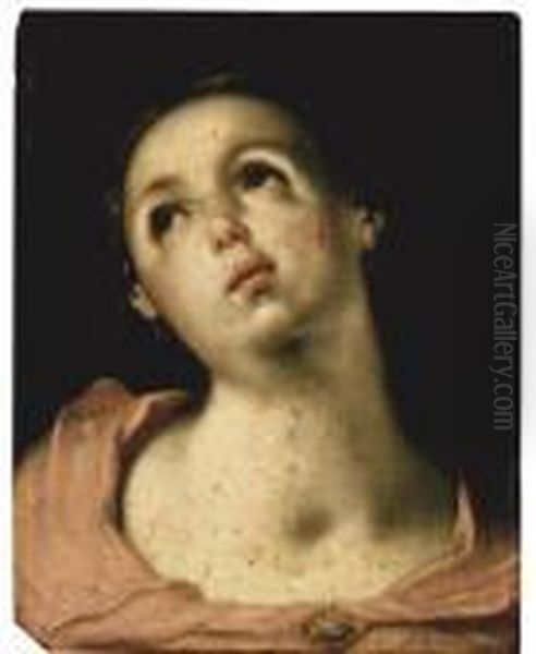 Head Of A Woman Oil Painting by Cornelis Cornelisz Van Haarlem