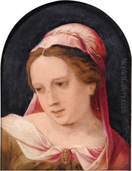 Jeune Femme Portant Un Voile Rose Oil Painting by Jan Sanders Van Hemessen