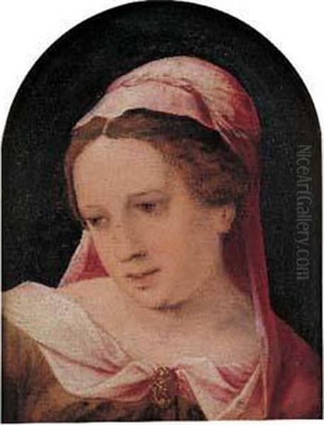 Portrait De Femme Au Voile Rose Oil Painting by Jan Sanders Van Hemessen