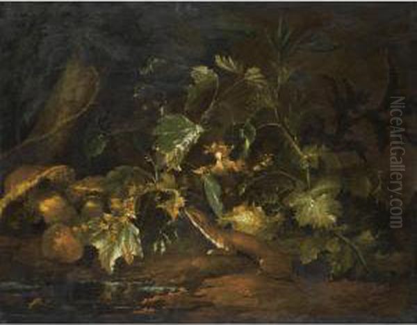 A Forest Floor With A Stoat Underneath Some Foliage, Beside A Pool Of Water Oil Painting by Niccolino Van Houbraken