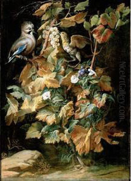 Still Life With A Jay And A Starling Eating Berries Oil Painting by Niccolino Van Houbraken