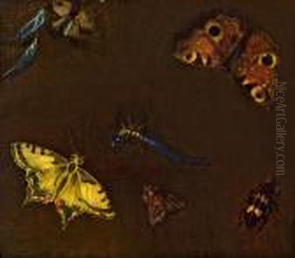 Schmetterlinge Und Insekten Oil Painting by Jan van Kessel