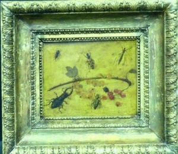 Insects And Berries Oil Painting by Jan van Kessel