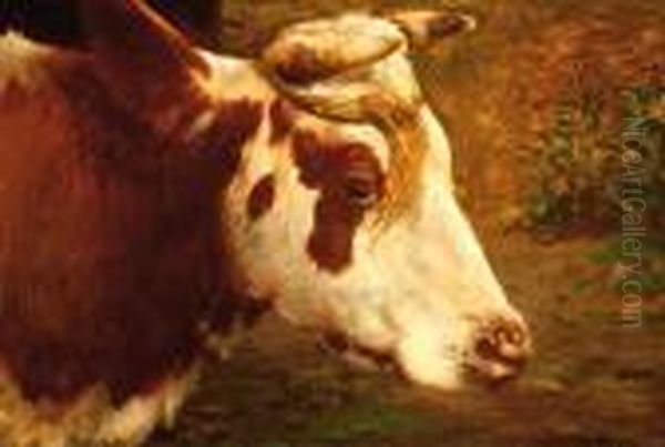 Head Of A Cow Oil Painting by Fedor Van Kregten