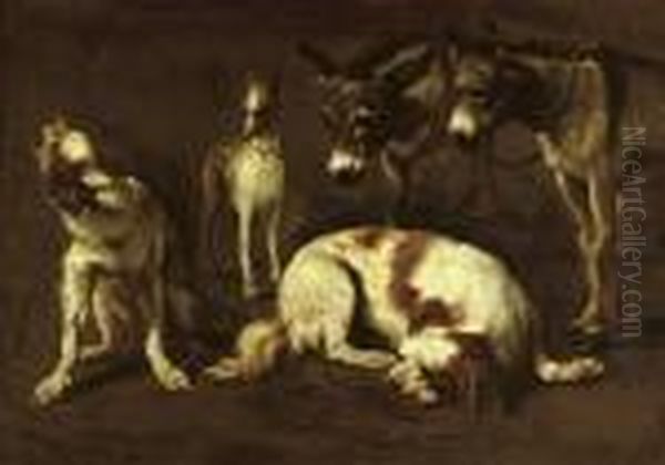 A Study Of Two Spaniels, A Greyhound And Two Donkeys Oil Painting by Pieter Van Laer (BAMBOCCIO)