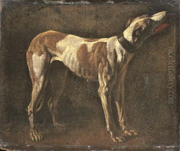 A Greyhound Oil Painting by Pieter Van Laer (BAMBOCCIO)