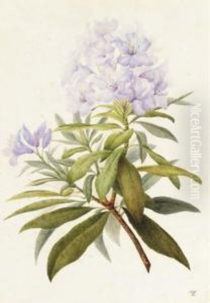 Une Branche De Fleurs Oil Painting by Willem van Leen