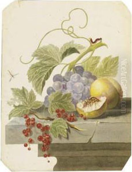 Still Life With Grapes, Peaches And Red Currants On A Ledge Oil Painting by Willem van Leen