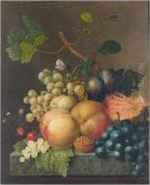 Still Life With Peaches, Plums, 
Strawberries, Grapes, A Walnut And A Melon On Stone Ledge Oil Painting by Willem van Leen