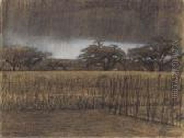 Akkers Met Oude Bomen: Clouds Over A Farm Field Oil Painting by Jacobus Van Looy