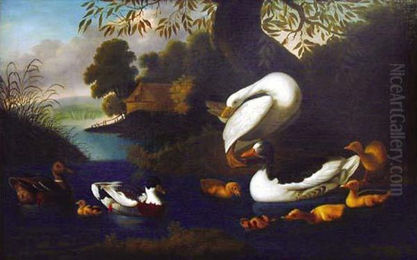  Canards Et Cygnes Sur Un Etang  Oil Painting by Adriaen van Oolen