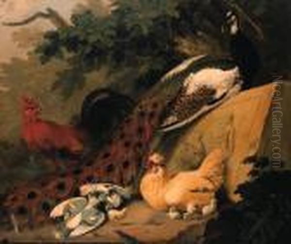 A Peacock, Cockerel, Chicken And Chicks With Doves In Alandscape Oil Painting by Adriaen van Oolen