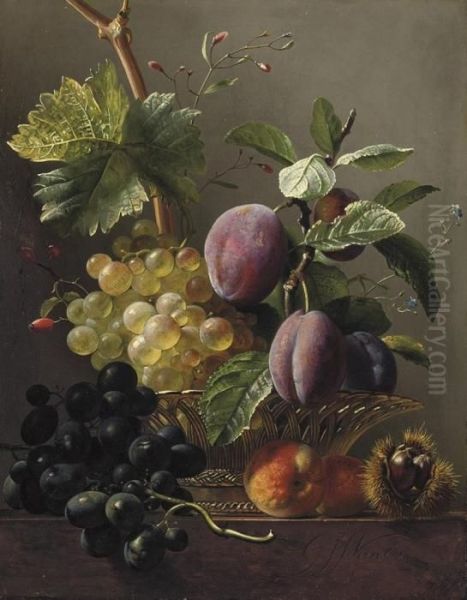 Grapes, Prunes, Peaches And A Chessnut On A Ledge Oil Painting by Georgius Jacobus J. Van Os