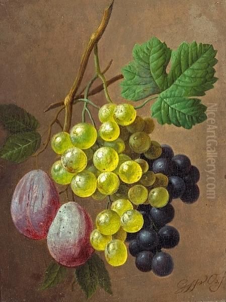 A Still Life With Grapes And Plums by Georgius Jacobus J. Van Os