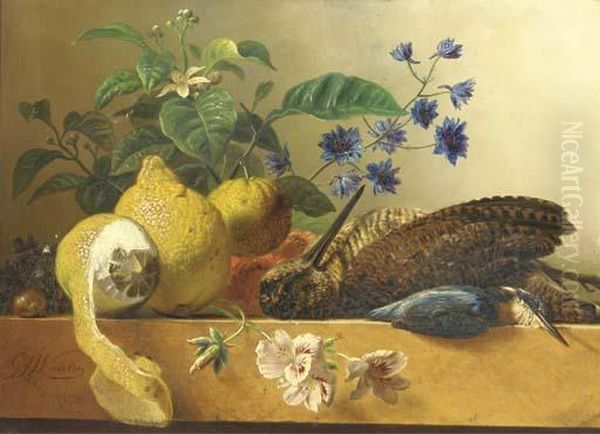 A Snipe, A Kingfisher, Lemons And Flowers On A Ledge Oil Painting by Georgius Jacobus J. Van Os