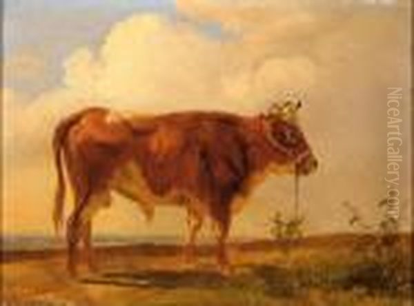 A Bull Oil Painting by Pieter Gerardus Van Os