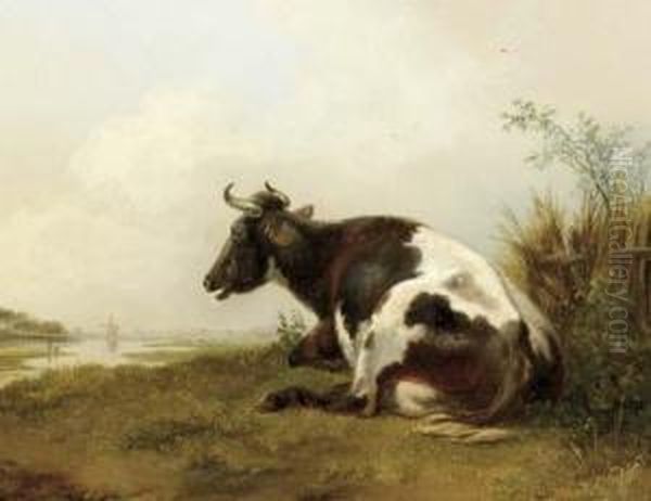 A Cow Resting In A Meadow Oil Painting by Pieter Gerardus Van Os