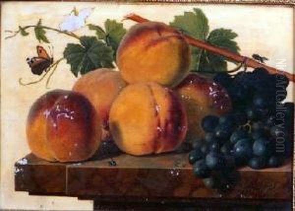 Peches Et Raisins Sur Unentablement Oil Painting by Christiaan van Pol