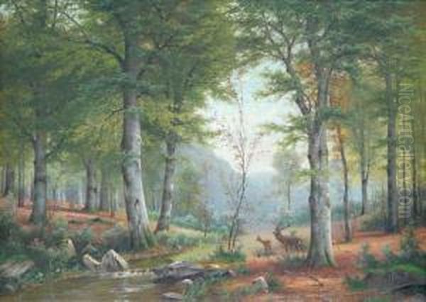 Ciervos En El Bosque Oil Painting by Jacobus Johannes Van Poorten