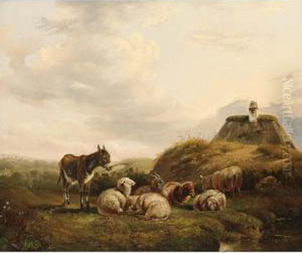 Sheep And A Donkey In A Dune Landscape Oil Painting by Jan Van Ravenswaay