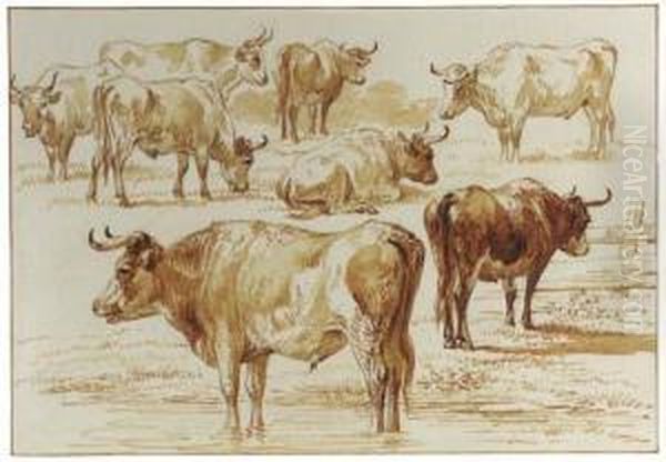 A Study Of Bulls Oil Painting by Jan Van Ravenswaay