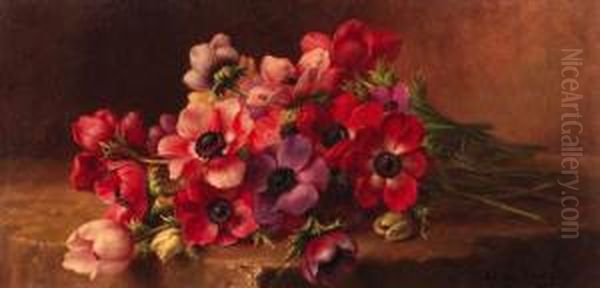 Red And Purple Anemones; Mimosa's Oil Painting by Edward Van Rijswijck