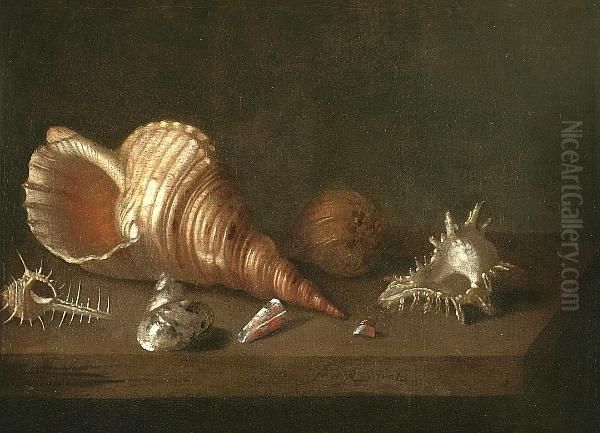 Still Life With Shells Oil Painting by Pieter Gerritsz. van Roestraten