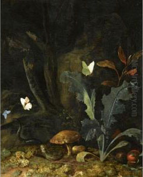 Nocturnal Forest Landscape With A
 Thistle, Chestnuts And Mushrooms, A Viper, Three Moths And A Dragon-fly Oil Painting by Otto Marseus Snuff. Van Schrieck