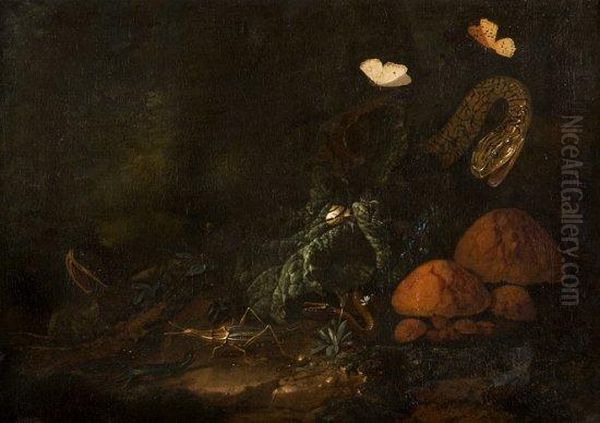 Champignons Et Insectes Dans Un Sous-bois Oil Painting by Otto Marseus Snuff. Van Schrieck