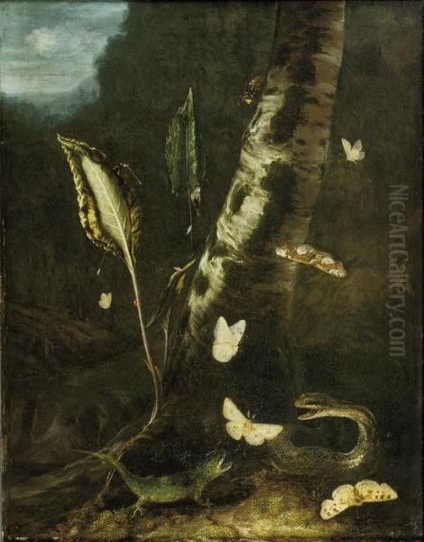 A Forest Floor With A Lizard, A Snake And Butterflies Oil Painting by Otto Marseus Snuff. Van Schrieck