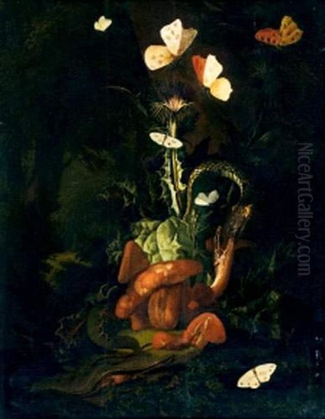 Nature Morte, Insectes Et Papillons Oil Painting by Otto Marseus Snuff. Van Schrieck