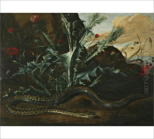 Landscape With Thistle And Snake Oil Painting by Otto Marseus Snuff. Van Schrieck