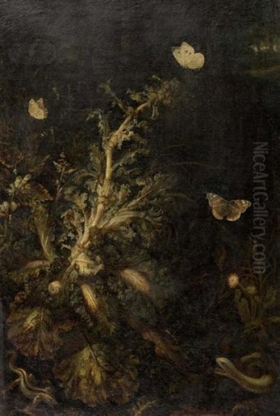 Waldstilleben Mit Insekten, Schmetterlingen Und Eidechsen. Oil Painting by Otto Marseus Snuff. Van Schrieck