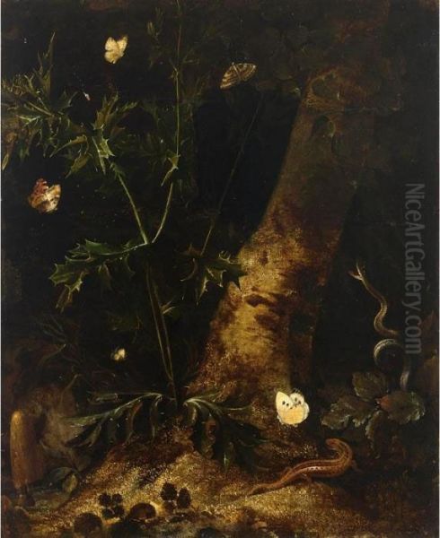 A Forest Floor Still Life With A
 Salamander, Snake And Various Butterflies Around A Thistle Oil Painting by Otto Marseus Snuff. Van Schrieck